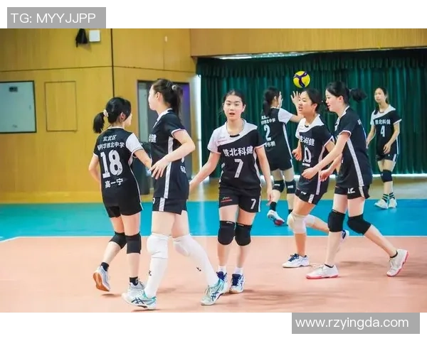 南京排球队在精英赛中的状态分析与表现评估