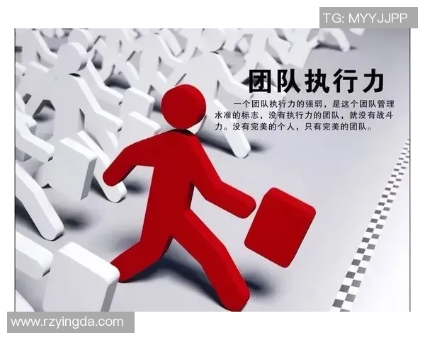 成都排球队在精英赛中的团队协作表现与战术执行力分析